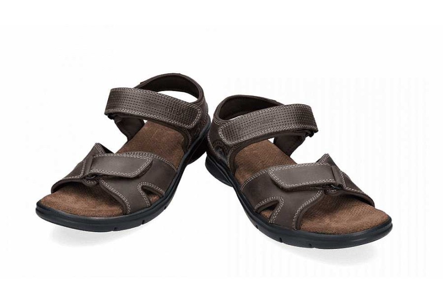 Men Panama Jack | Sanders Basic Strap Sandal