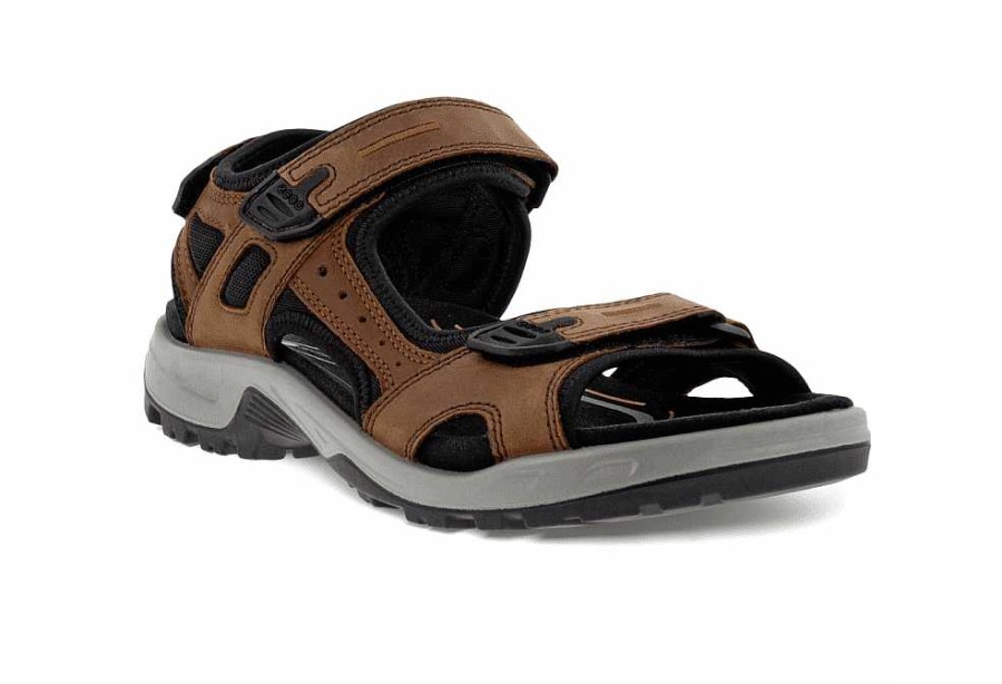 Men Ecco | Off Road Sandal