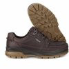 Men Ecco | Rugged Track Shoe